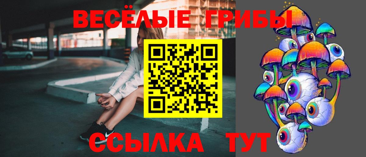 Пугачёв  Псилоцибиновые грибы MAGIC MUSHROOMS  Вход с VPN 